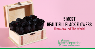 Beautiful Black Flowers