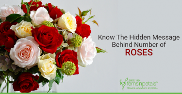 meaning of roses
