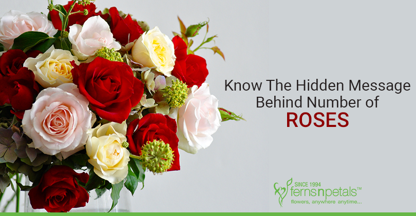 Know Hidden Message Behind Number Of Roses - Fnp Sg