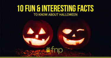 10 Halloween Fun Facts you must Know