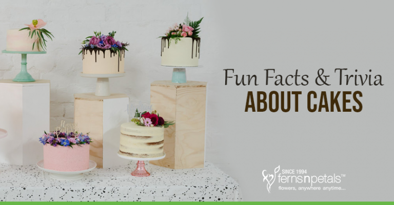 Fun Facts & Trivia About Cakes - FNP Singapore