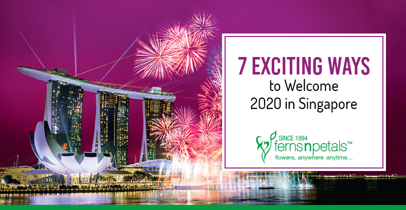 New year celebration in singapore