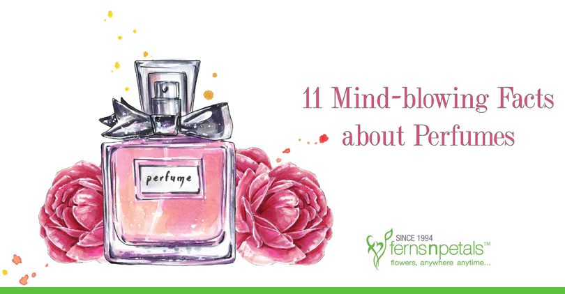 11 Mind-blowing Facts about Perfumes