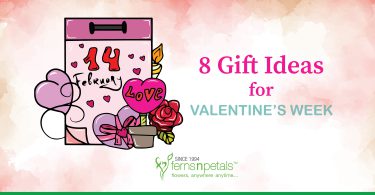 8 gift ideas for valentine week