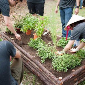 Organic farming & gardening courses