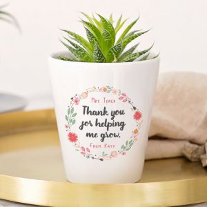 Plant for Teacher