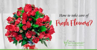 How to take care of Fresh Flowers
