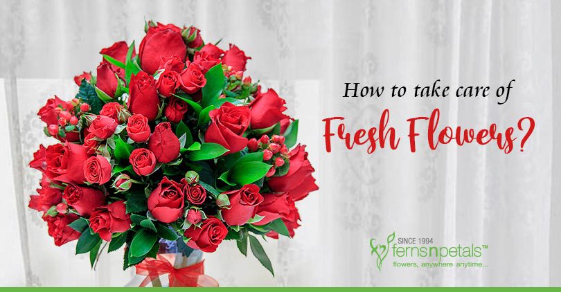 How to take care of Fresh Flowers