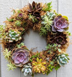 10+ Stylish Xmas Wreath Ideas for this Jolly Season- Succulents 