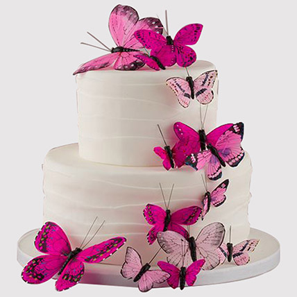 Butterfly Truffle Cake