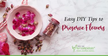 DIY Tips to Preserve Flowers