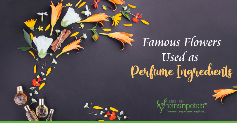 Famous-flowers-used-as-perfume