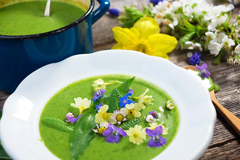 Flower-in-soup