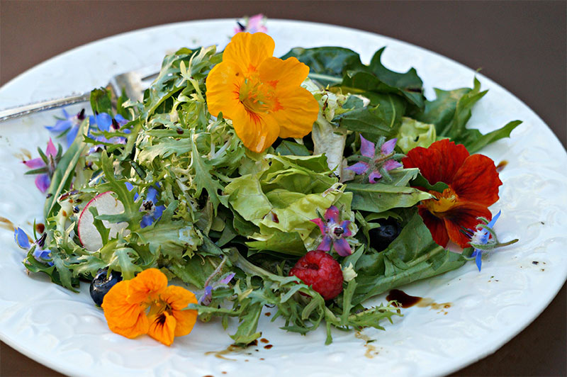 Flower-salad