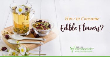 how-to-consume-edible-flowers
