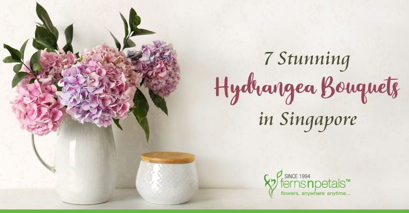 Hydrangea-Bouquets-in-Singapore