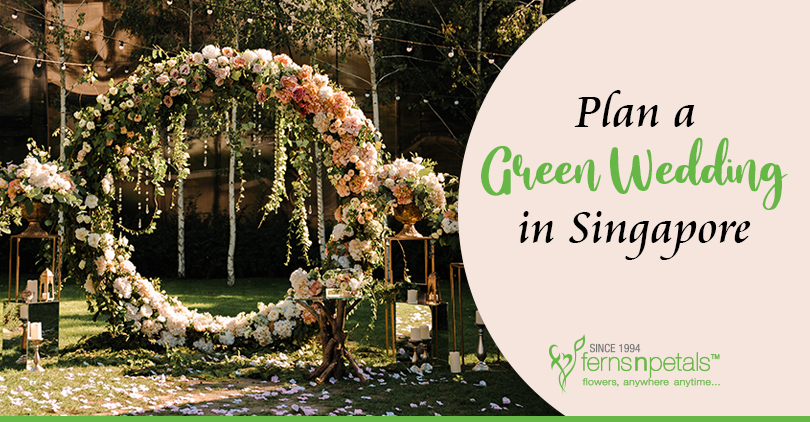Plan a green wedding