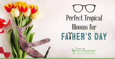 flower-arrangements-fathers-day
