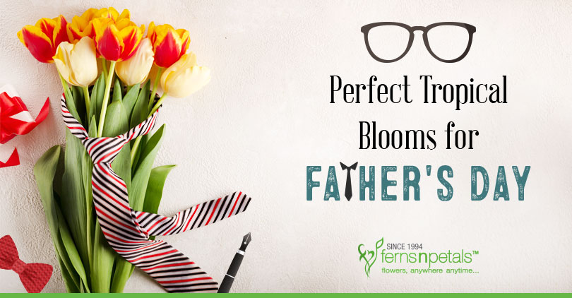 Official father hot sale day flower