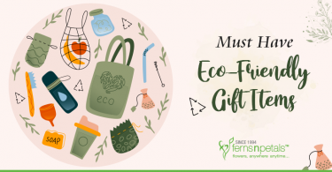 eco friendly gifts