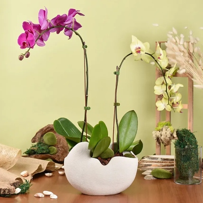 floral arrangements for mid-autumn festival