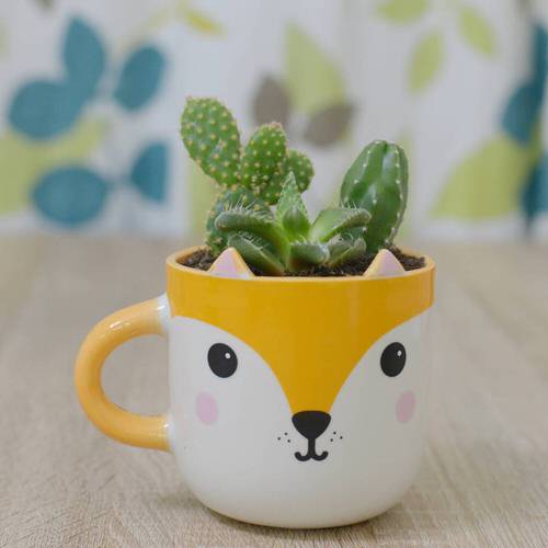 mug as a planter