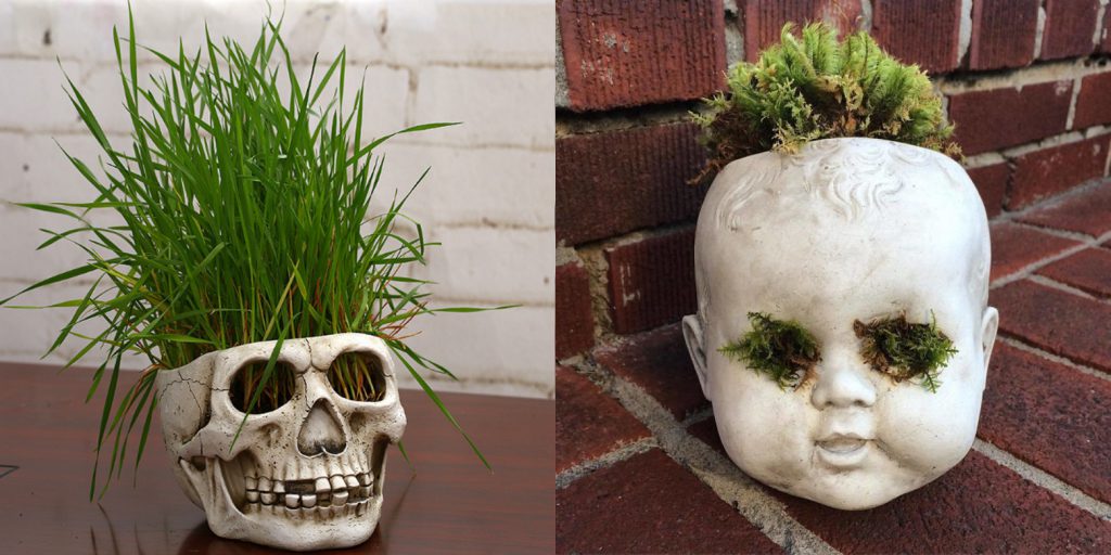 Scary Halloween Gifts in Singapore you can't Miss- Planters