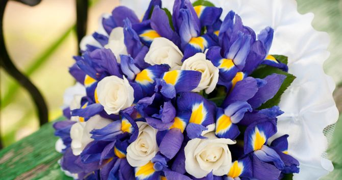 iris bouquet