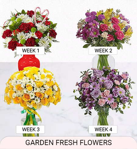 Weekly Flower Subscription