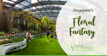 What is the Singapore Floral Fantasy About
