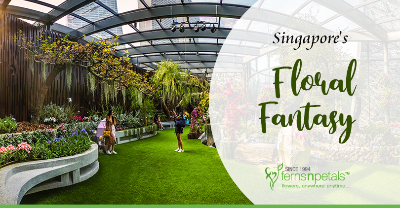 What is the Singapore Floral Fantasy About