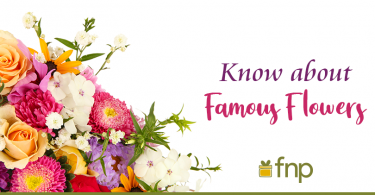 Famous Flowers What to Know about them