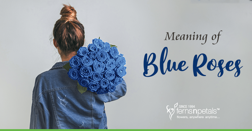 What Is The Meaning Of Blue Roses? - Fnp Singapore