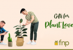10 Fabulous Gift Ideas for Plant Lovers-