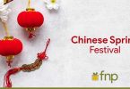 What is the Chinese Spring Festival