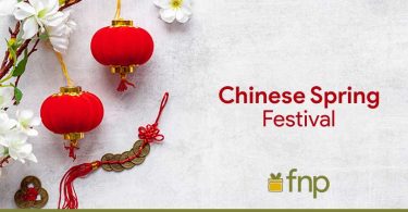 What is the Chinese Spring Festival
