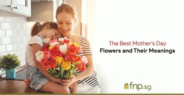 The Best Mother's Day Flowers and Their Meanings