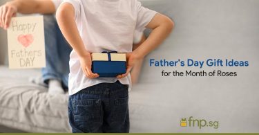 Father's Day Gift Ideas