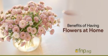 Magical Benefits of Floral Home Decor