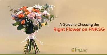 Guide to Choosing the Right Flower