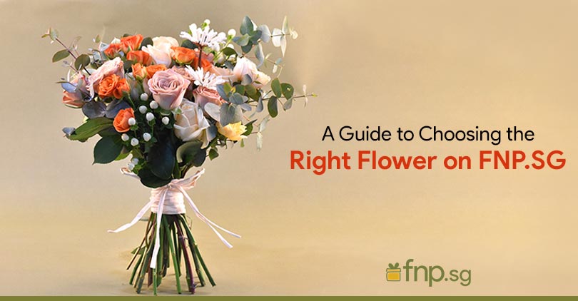 Guide to Choosing the Right Flower - FNP SG