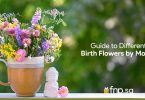Birth-Flowers-by-Month
