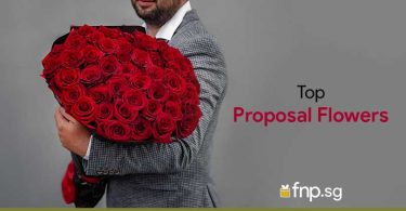 Top-Proposal-Flowers