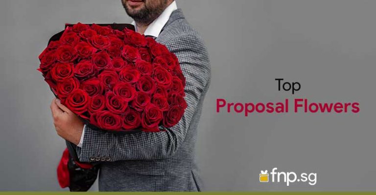 Top Five Proposal Flowers in Singapore - FNP SG