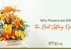 Flowers-Best gifting option
