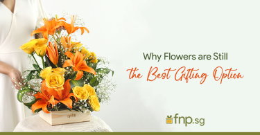 Flowers-Best gifting option
