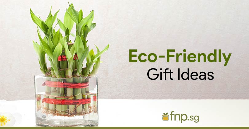 eco friendly gift ideas thumbnail image