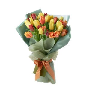 tulips flowers image