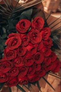 dozen red rosed image