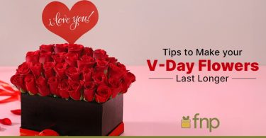 tips to keep your v-day flower fresh